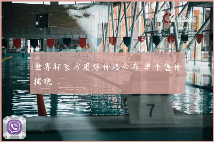世界杯官方用球价格公布 单个售价揭晓
