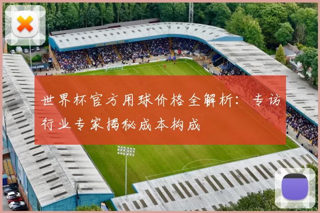 世界杯官方用球价格全解析：专访行业专家揭秘成本构成