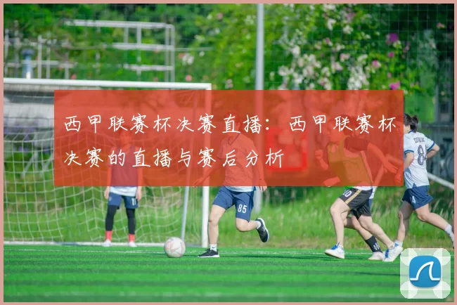 西甲联赛杯决赛直播：西甲联赛杯决赛的直播与赛后分析
