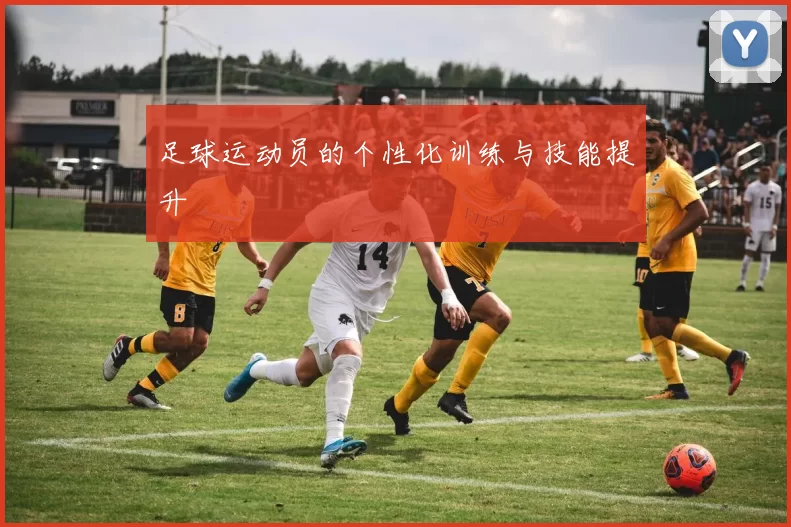 足球运动员的个性化训练与技能提升