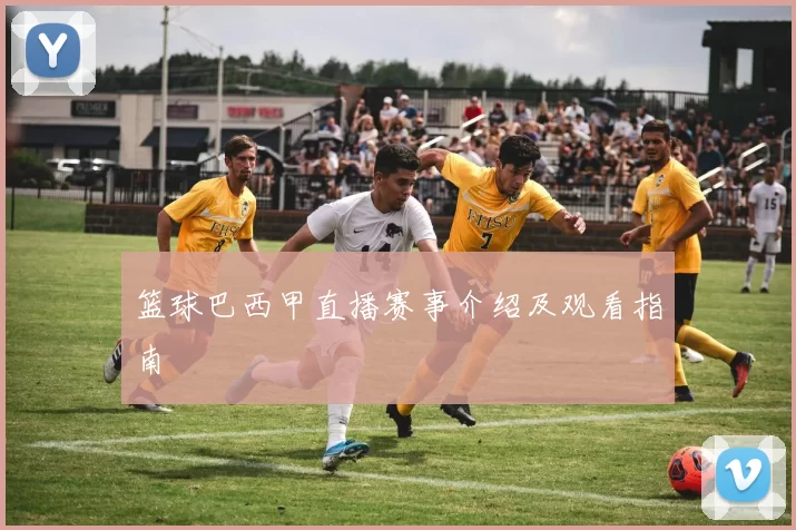 篮球巴西甲直播赛事介绍及观看指南