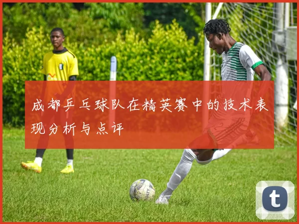 成都乒乓球队在精英赛中的技术表现分析与点评