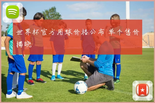 世界杯官方用球价格公布 单个售价揭晓
