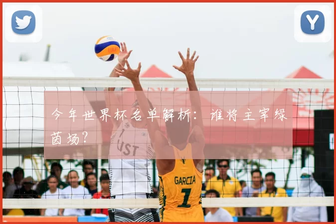 今年世界杯名单解析:谁将主宰绿茵场?