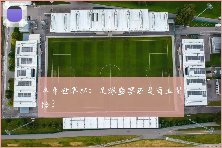 冬季世界杯:足球盛宴还是商业冒险?