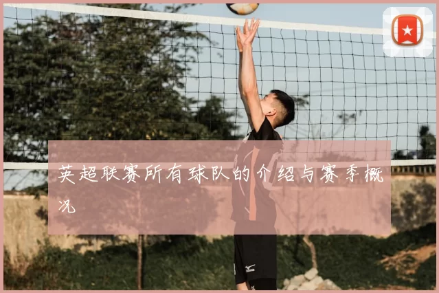 英超联赛所有球队的介绍与赛季概况