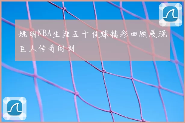 姚明NBA生涯五十佳球精彩回顾展现巨人传奇时刻
